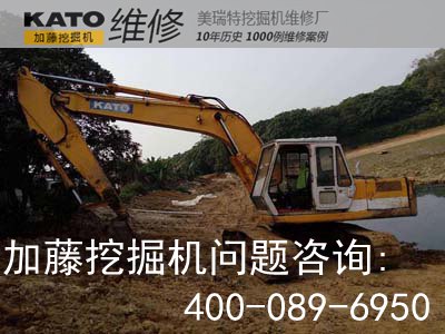 黄片91免费APP91免费版网站